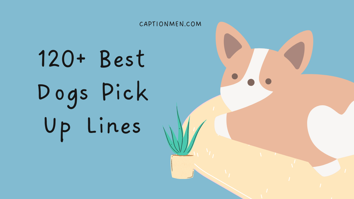 Dog Pick up Lines